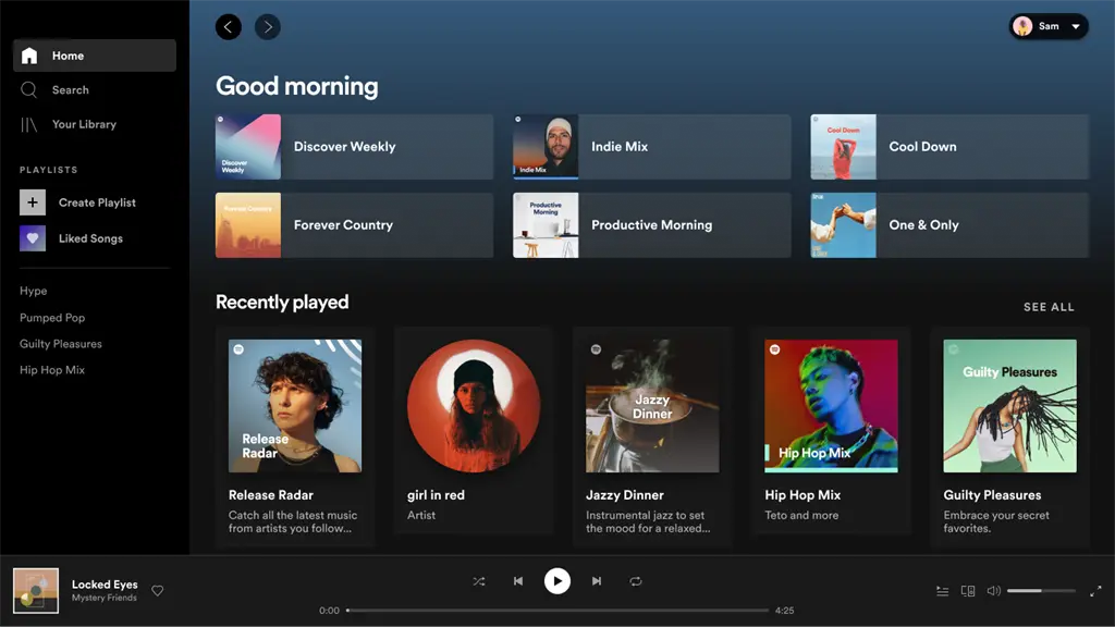 Spotify Screenshot Image