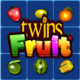Twins Fruit Icon Image
