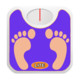 Weight Control Lite Icon Image