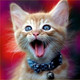 Cat Doctor Icon Image