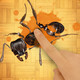 Ants Smasher Icon Image