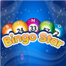 Bingo Star Icon Image