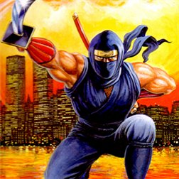 Ninja Gaiden Trilogy Image