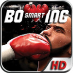 Smart Boxing 3D Image