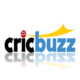 Crickbuzz Icon Image