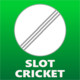Slot Cricket Icon Image