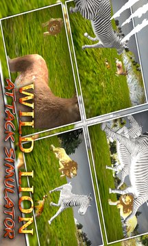 Wild Lion Attack Simulator Screenshot Image
