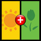 Pic Combo Icon Image