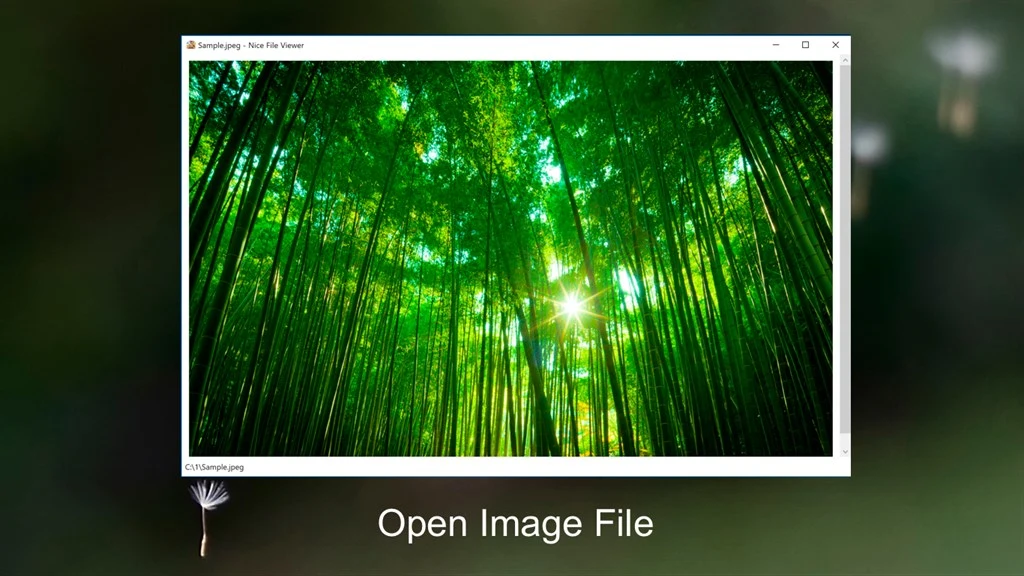 Nice File Viewer Screenshot Image