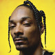 Snoop Dogg Music Icon Image