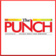 The Punch Icon Image