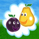 Fruits Picker Icon Image