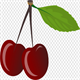 CherryTree Icon Image