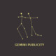 Gemini Publicity Icon Image