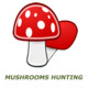 Mushrooms Hunting Icon Image