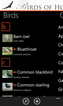 Birds of Holland Screenshot Image