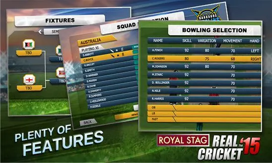 Real Cricket 15 Screenshot Image #3