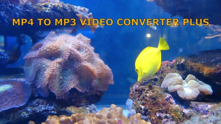 MP4 to MP3 Video Converter Plus Image