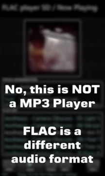 FLAC Player SD Screenshot Image