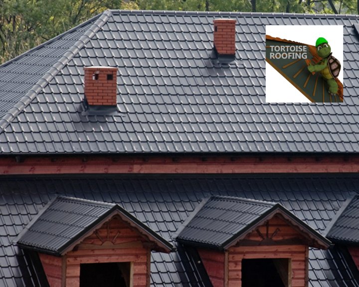 Tortoise Roofing Image