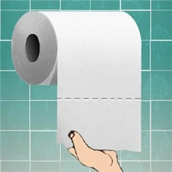 Toilet Paper Image