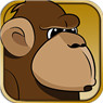 Angry Monkey Run Icon Image