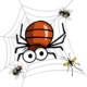 Spider Adventure Icon Image