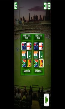 Cricket Cup Screenshot Image