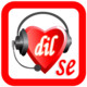 Dilse Voip Icon Image