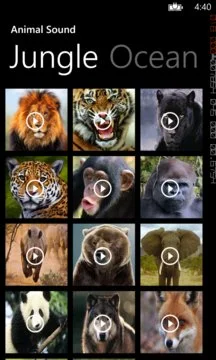 Animal Sounds: Play and Enjoy Screenshot Image