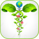 Homeopathy Medicine Icon Image